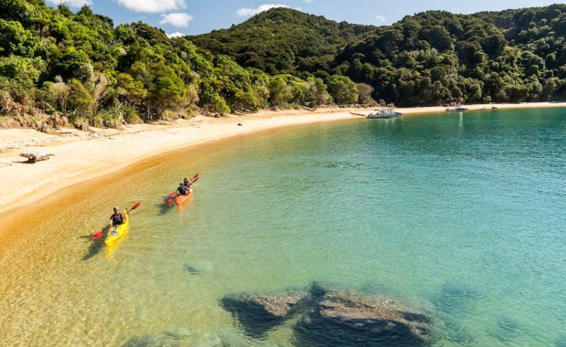 Sunny Nelson’s Best Kept Secret: Buying Locally