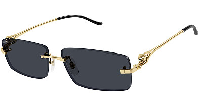 The Evolution of Sunglasses: Fashion and Global Trends