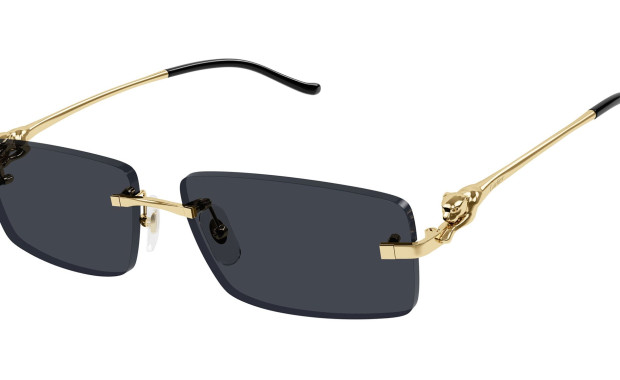 The Evolution of Sunglasses: Fashion and Global Trends