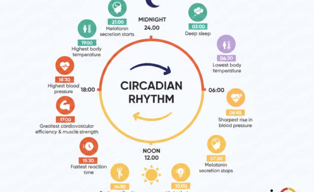 How Morning Sunlight and Circadian Rhythms Effect Your Internal Clock