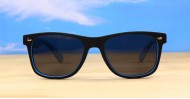 Fate-Colour 2 mens sunglasses NZ