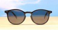 Buzz mens sunglasses NZ