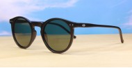 Boogie Polarised mens sunglasses NZ
