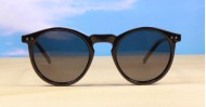 Boogie Polarised mens sunglasses NZ