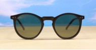 Boogie Polarised mens sunglasses NZ