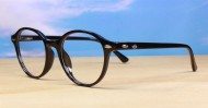 Rex mens sunglasses NZ