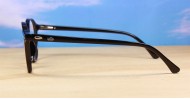 Rex mens sunglasses NZ