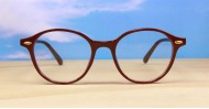 Rex mens sunglasses NZ