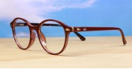 Rex mens sunglasses NZ