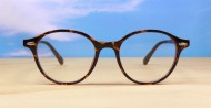 Rex mens sunglasses NZ