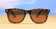 Fate mens sunglasses NZ