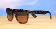 Fate mens sunglasses NZ