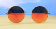 Beatle Revo mens sunglasses NZ