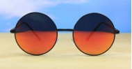 Beatle Revo mens sunglasses NZ