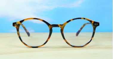 Blue Light Glasses BL8831