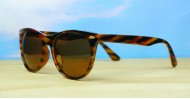 Firefly Polarised-sunglasses-NZ
