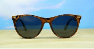 Firefly Polarised-sunglasses-NZ