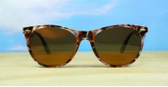 Firefly Polarised-sunglasses-NZ