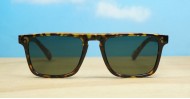 Otis Unisex Sunglasses