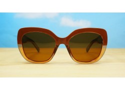 Chicago Polarised