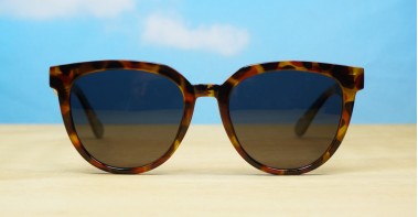 Loretta Polarised