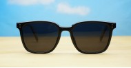 Nutmeg Polarized-Sunglasses and eyewear