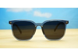 Ari Polarised-Grey