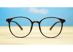Blue Light BL1308-Tortoise