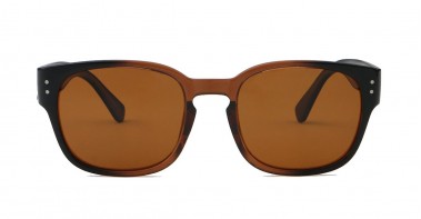 Scout Polarised Brown