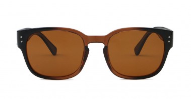 Scout Polarised Brown