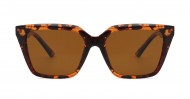 Oreo Polarised Tortoise NZ-eyewear- Polarised Sunglasses