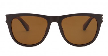 Jax Polarised Brown
