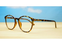  Blue Light Glasses BL8054 Tortoise