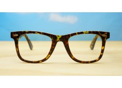 Blue Block Glasses BL2021