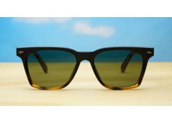Amiri Polarised Tortoise