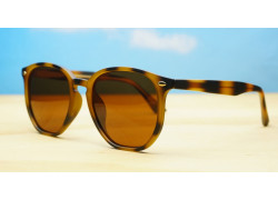 Timoti Polarised Tortoise