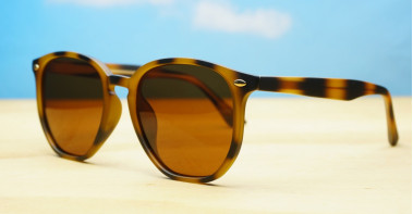 Timoti Polarised Tortoise