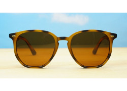 Timoti Polarised Tortoise