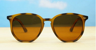 Timoti Polarised Tortoise