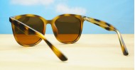 NZ-Sunglasses-with-UV-protection-UM66806-PZ-TORT