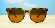 NZ-Sunglasses-with-UV-protection-UM66806-PZ-TORT