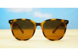 Kiri Polarised Tortoise