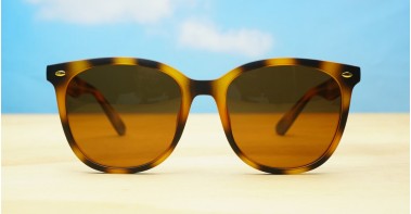 Kiri Polarised Tortoise