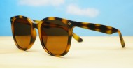 NZ-Sunglasses-with-UV-protection-UM66806-PZ-TORT