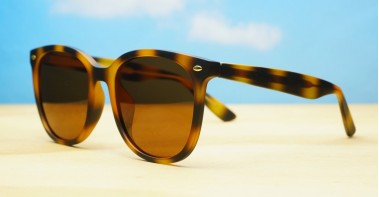 Kiri Polarised Tortoise