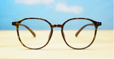 Blue Light BL1264 Tortoise