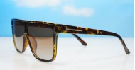 Polarised Sunglasses-P8450