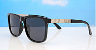 Polarised Sunglasses-Py0016