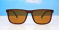 Polarised Sunglasses-Py0016