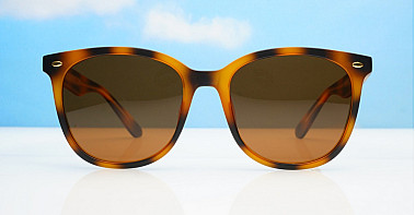 Kiri Polarised Tortoise